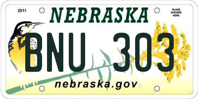 NE license plate BNU303