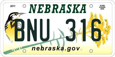 NE license plate BNU316