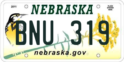 NE license plate BNU319
