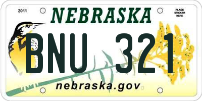 NE license plate BNU321