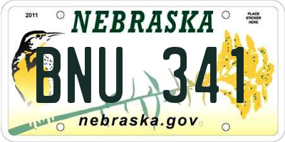 NE license plate BNU341