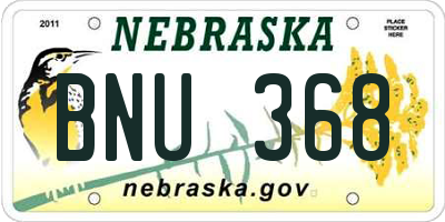 NE license plate BNU368