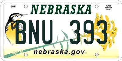 NE license plate BNU393