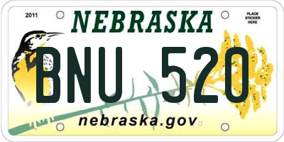 NE license plate BNU520