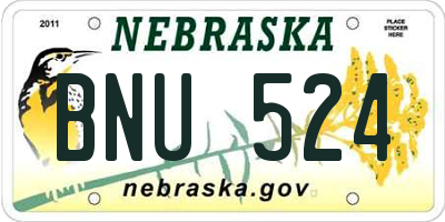 NE license plate BNU524
