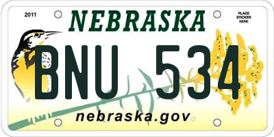 NE license plate BNU534