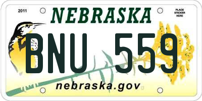 NE license plate BNU559