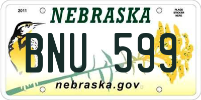 NE license plate BNU599