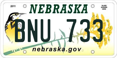NE license plate BNU733
