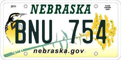 NE license plate BNU754