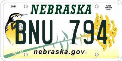 NE license plate BNU794
