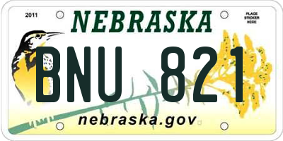 NE license plate BNU821