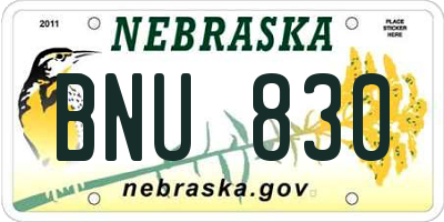 NE license plate BNU830