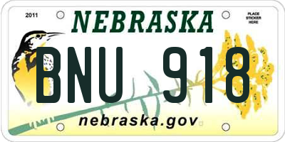 NE license plate BNU918