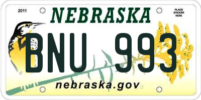 NE license plate BNU993