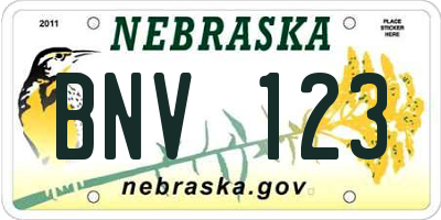 NE license plate BNV123