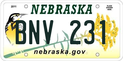 NE license plate BNV231