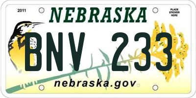 NE license plate BNV233