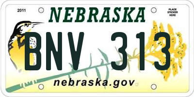 NE license plate BNV313