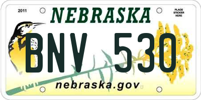 NE license plate BNV530
