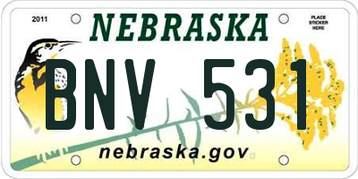 NE license plate BNV531