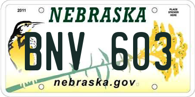 NE license plate BNV603