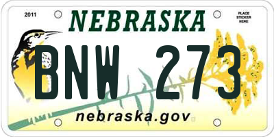NE license plate BNW273