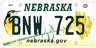NE license plate BNW725