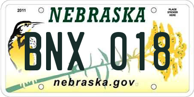 NE license plate BNX018