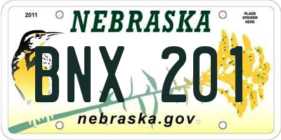 NE license plate BNX201