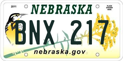 NE license plate BNX217
