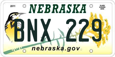 NE license plate BNX229