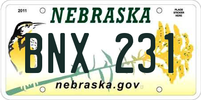 NE license plate BNX231