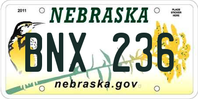 NE license plate BNX236