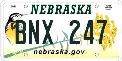 NE license plate BNX247