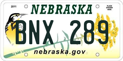 NE license plate BNX289