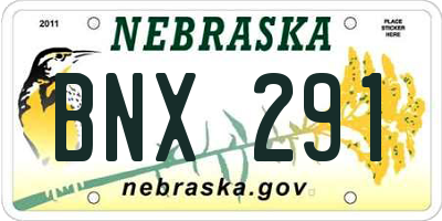 NE license plate BNX291