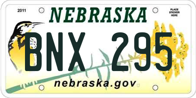 NE license plate BNX295