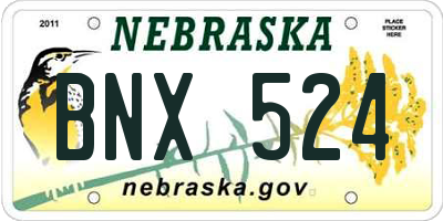 NE license plate BNX524