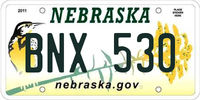 NE license plate BNX530