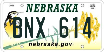 NE license plate BNX614