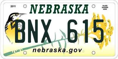 NE license plate BNX615