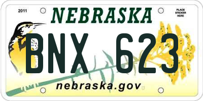 NE license plate BNX623