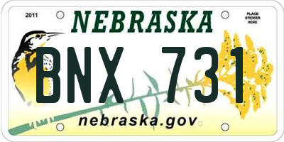 NE license plate BNX731