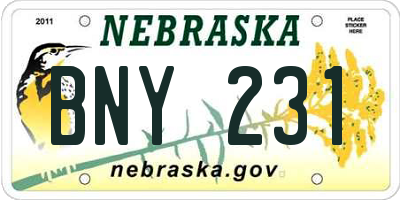 NE license plate BNY231