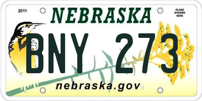 NE license plate BNY273