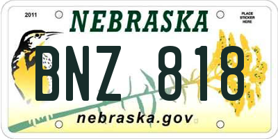 NE license plate BNZ818