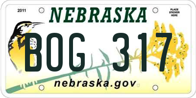 NE license plate BOG317