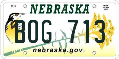 NE license plate BOG713