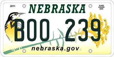 NE license plate BOO239